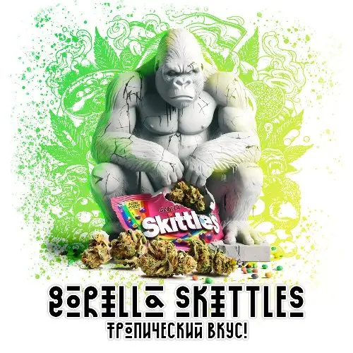 Бошки "Gorilla Skittles"