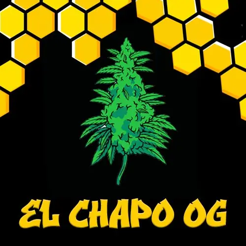  El Chapo OG