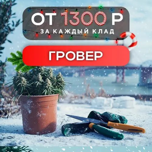 Работа: Гровер 