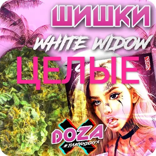 Шишки (ЦЕЛЬНЫЕ) WHITE WIDOW гидропоника VHQ