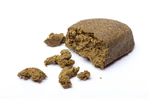 hashish гамер 