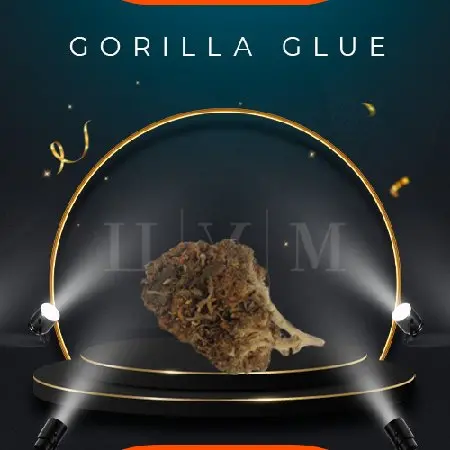 Шишки. Gorilla Glue