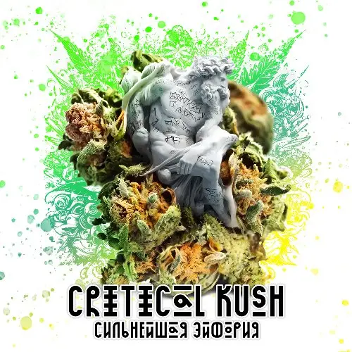 Бошки "Critical Kush"